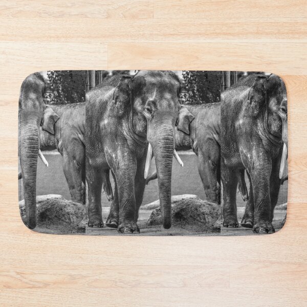 Item preview, Elephant III designed and sold by Blackadder Photography.