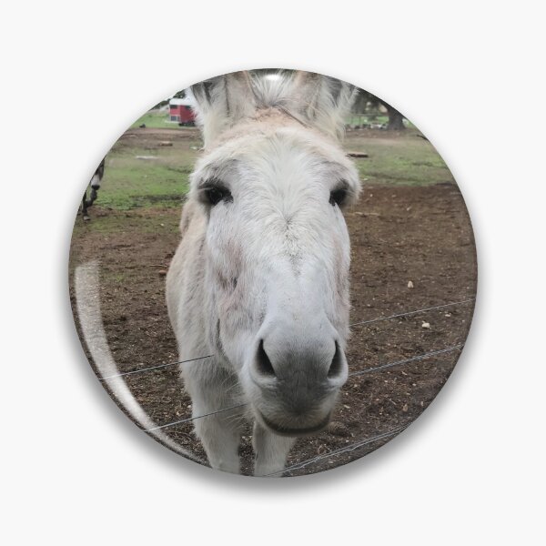 Item preview, Donkey designed and sold by jarrahimages.