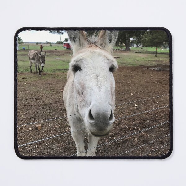 Item preview, Donkey designed and sold by jarrahimages.