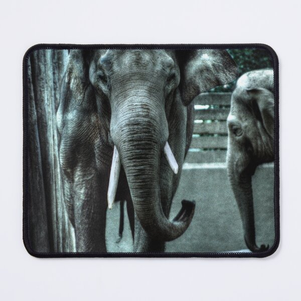 Item preview, Elephant II designed and sold by Blackadder Photography.