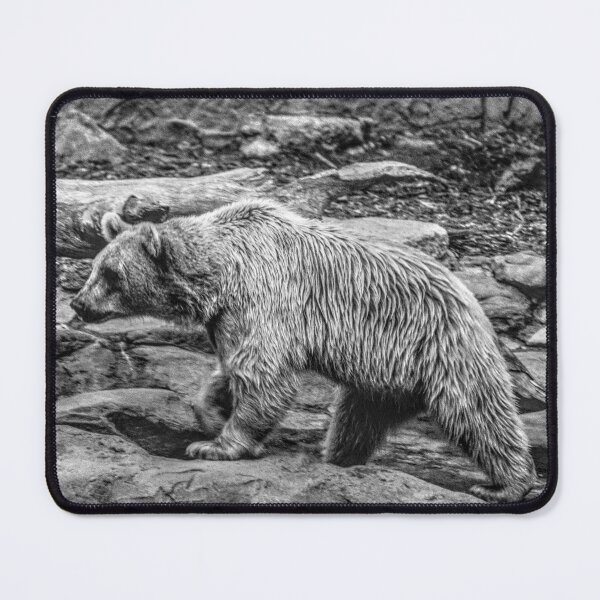 Item preview, Brown Bear walking designed and sold by Blackadder Photography.