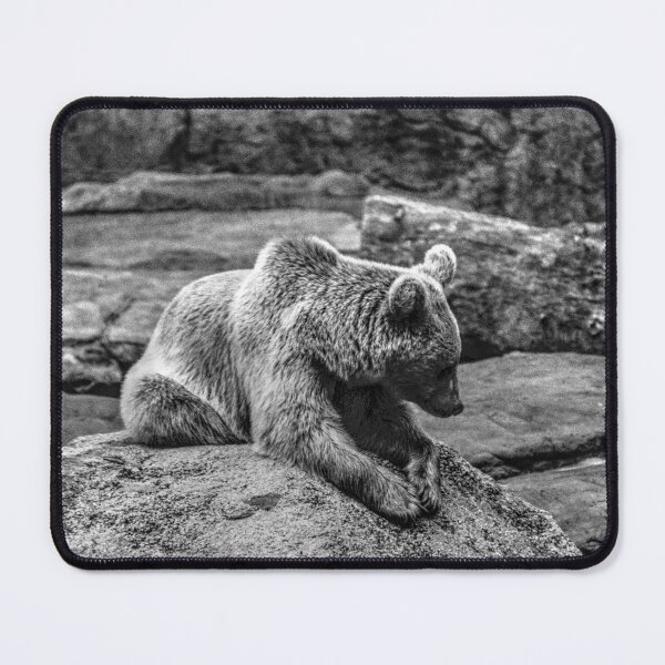 Item preview, Brown Bear waiting and watching designed and sold by Blackadder Photography.