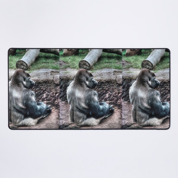 Item preview, Sitting Silverback designed and sold by Blackadder Photography.
