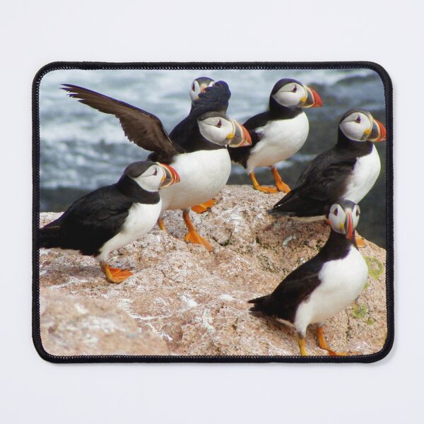 Item preview, Atlantic puffins designed and sold by mycloudzdesign.