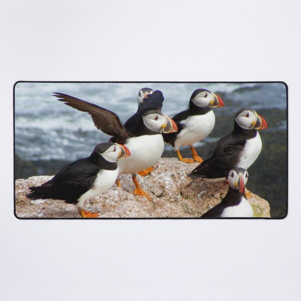 Item preview, Atlantic puffins designed and sold by mycloudzdesign.