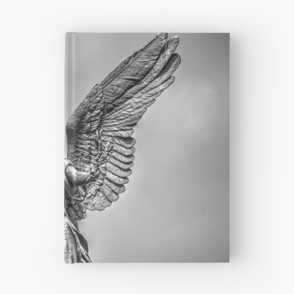 Item preview, Angel of Peace designed and sold by Blackadder Photography.