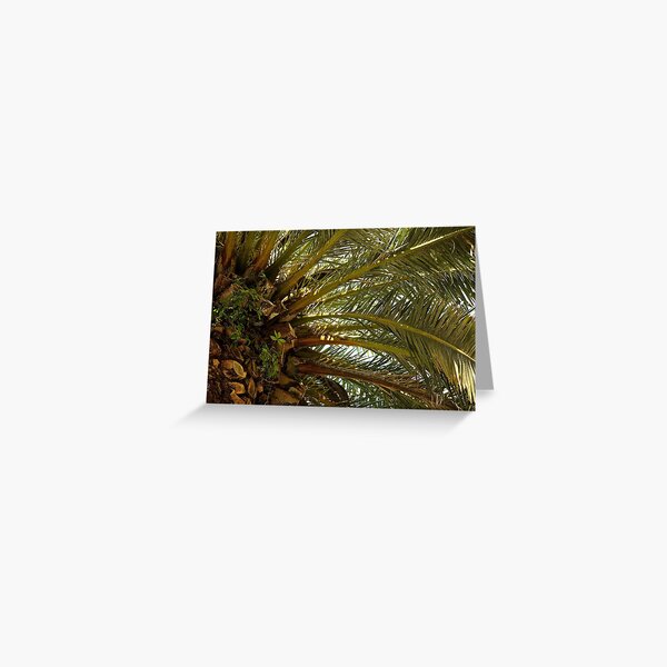 Palm Greeting Card