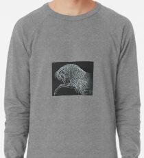 Andalusischer Tanz I - (Erinnerungen an Cavalia-Serie) Leichtes Sweatshirt