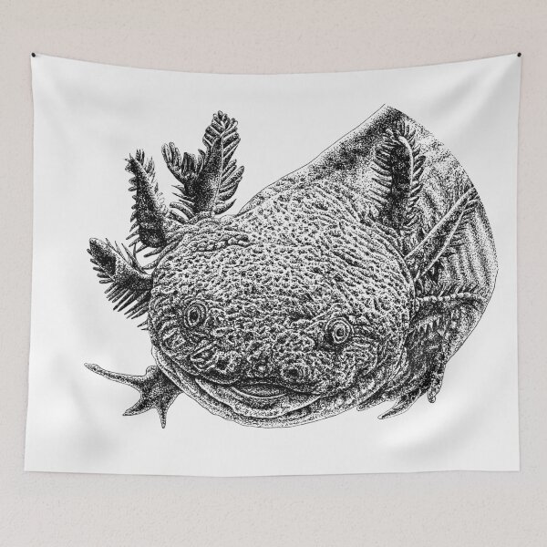 Item preview, Axolotl illustration designed and sold by LorenDowding.