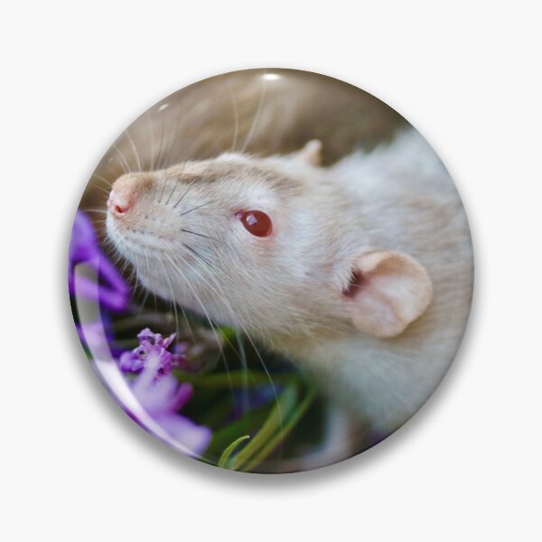 Item preview, Beautiful Rat designed and sold by Emmaline Jones.