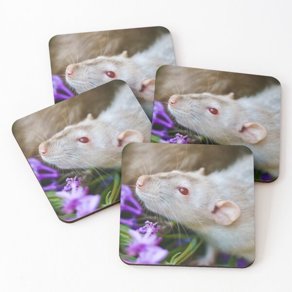 Item preview, Beautiful Rat designed and sold by Emmaline Jones.