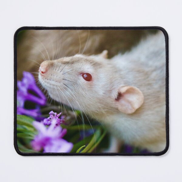 Item preview, Beautiful Rat designed and sold by Emmaline Jones.
