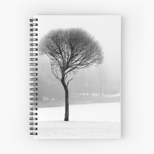 Item preview, 17.12.2016: Leafless Tree in Winter Fog II designed and sold by Petri Volanen.
