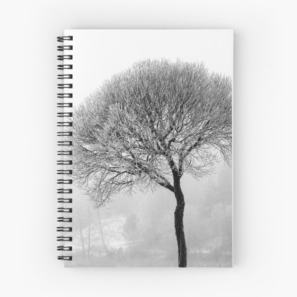 Item preview, 17.12.2016: Leafless Tree in Winter Fog IV designed and sold by Petri Volanen.