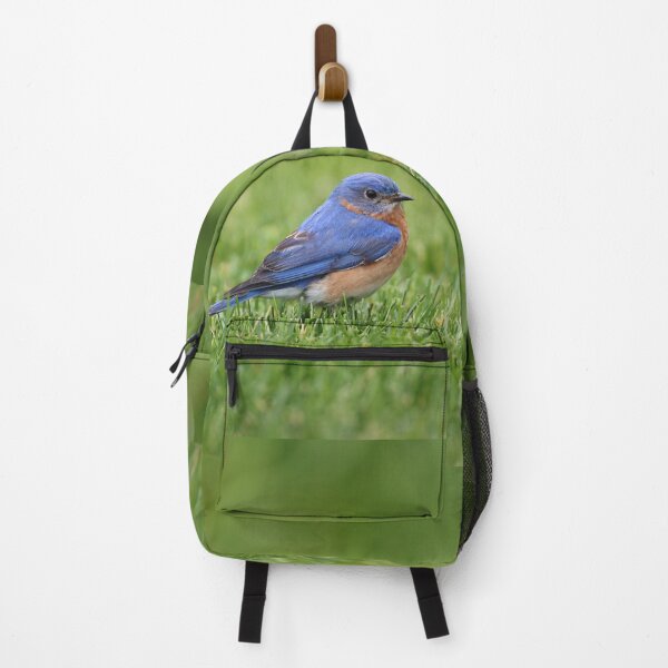 Item preview, Eastern Bluebird designed and sold by LisaNaturePhoto.