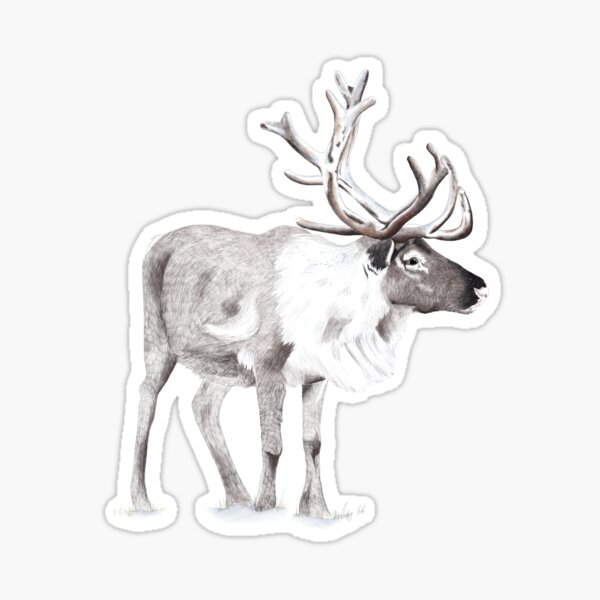 Reindeer Sticker