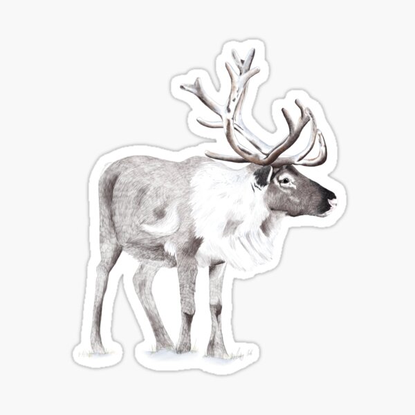 Item preview, Reindeer designed and sold by lauramcart.