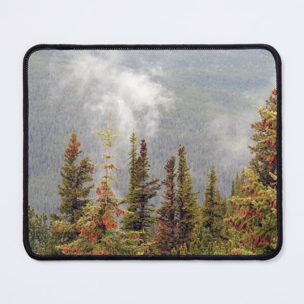 Item preview, Tree Top View designed and sold by Honey Myrtle Studio.