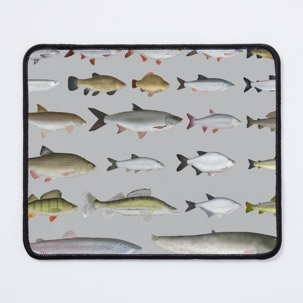 Item preview, European Freshwater Fish Group designed and sold by fishfolkart.