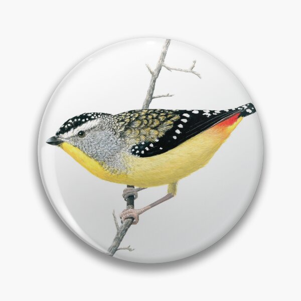 Item preview, Spotted Pardalote designed and sold by Wild-Portraits.