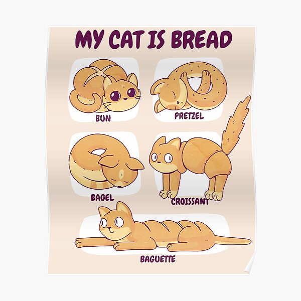 my cat is a bread