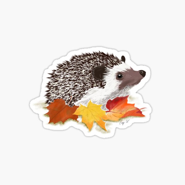 Item preview, Harold the Australian Hedgehog designed and sold by lauramcart.