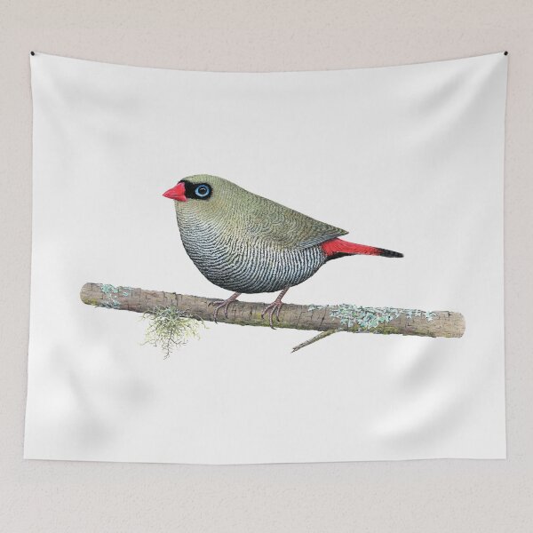 Item preview, Beautiful Firetail designed and sold by Wild-Portraits.