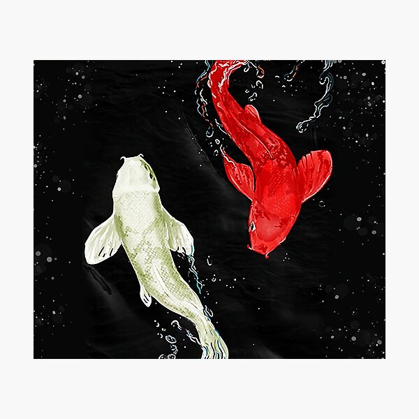 Koi Fishes Photographic Print