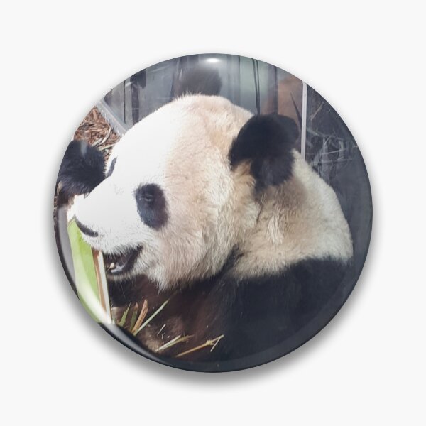 Item preview, The world needs more Panda designed and sold by Femmelocke.