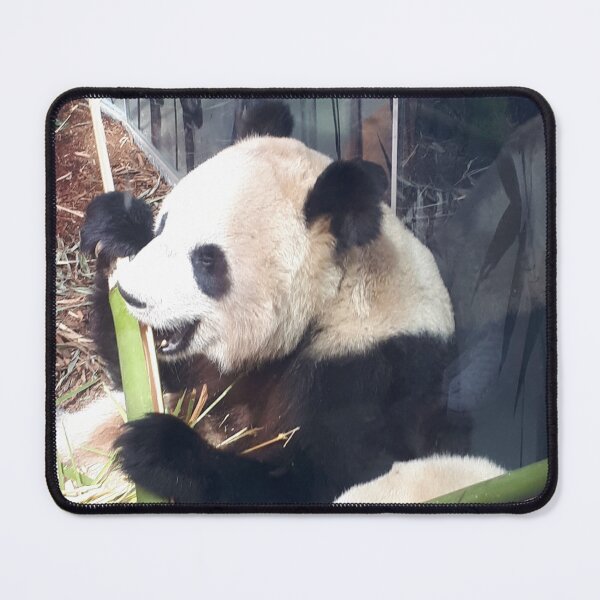 Item preview, The world needs more Panda designed and sold by Femmelocke.