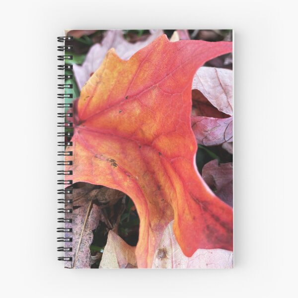 Item preview, Passing time designed and sold by Melanie  Poirier ⭐⭐⭐⭐⭐.