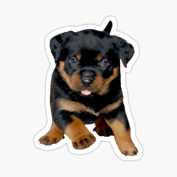 Cute Rottweiler Puppy Running With Tongue Out Sticker