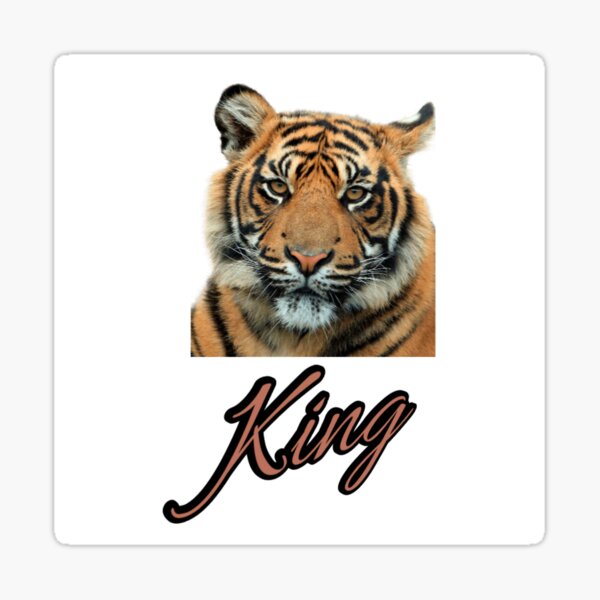 "King Tiger" Sticker For Sale By Ajon-design39 | Redbubble