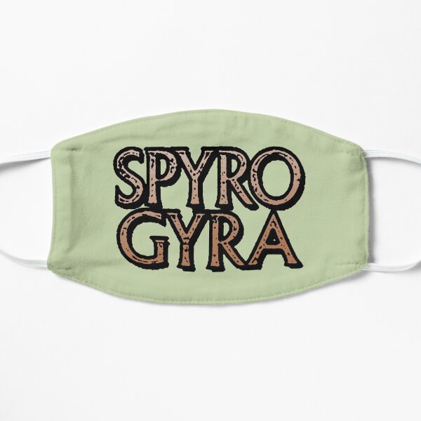 Spyro Gyra Flat Mask