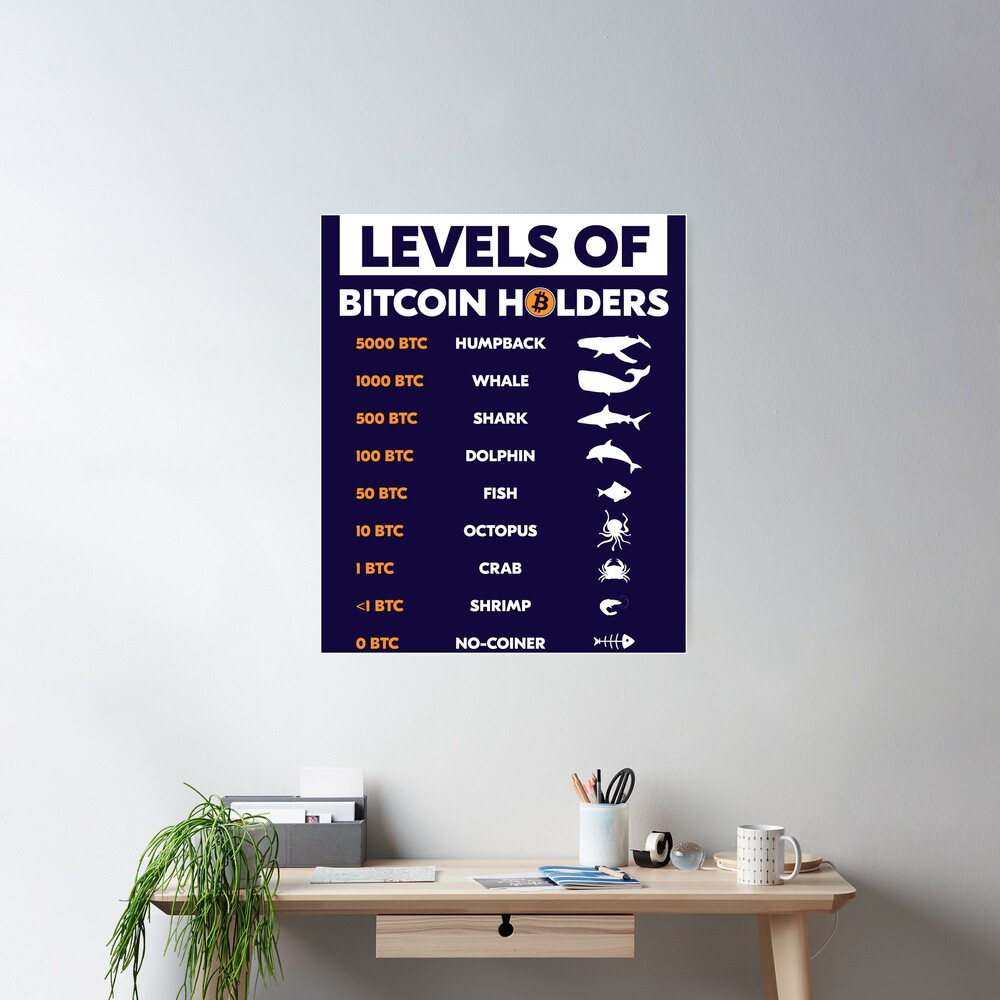 Levels Of Bitcoin Holders Crypto Btc Cryptocurrency Investor
