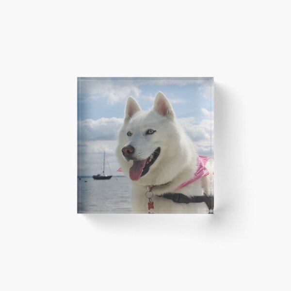 Item preview, Tehya designed and sold by Vicki Spindler (VHS Photography).