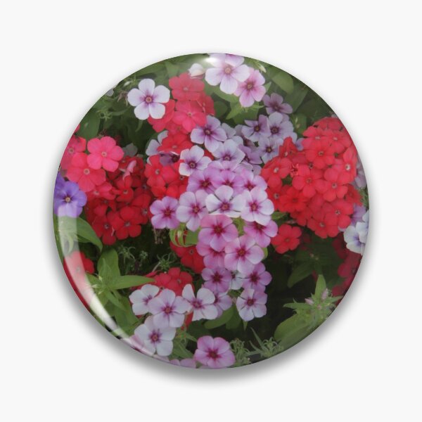 Item preview, Floral garden designed and sold by jarrahimages.