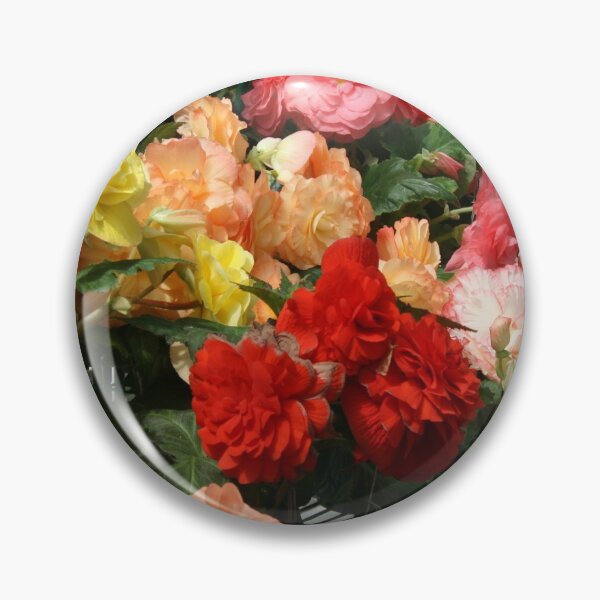 Item preview, Begonia garden designed and sold by jarrahimages.