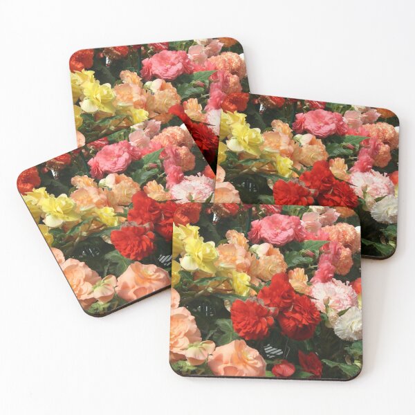 Item preview, Begonia garden designed and sold by jarrahimages.