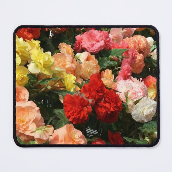 Item preview, Begonia garden designed and sold by jarrahimages.