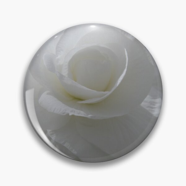 Item preview, White begonia designed and sold by jarrahimages.