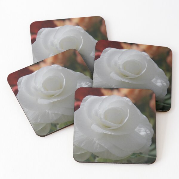 Item preview, White begonia designed and sold by jarrahimages.