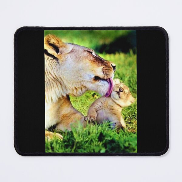 Item preview, Bath time for adorable Lion cub. designed and sold by Maddie4Real.