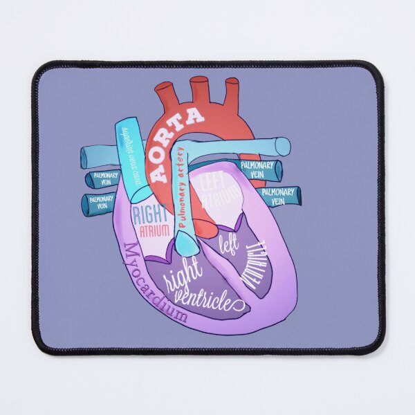 Item preview, Anatomical heart  designed and sold by Tamm-art.