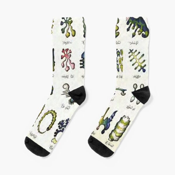 Codex Seraphinianus, ILLustrated Encyclopedia, Imaginary World  Socks