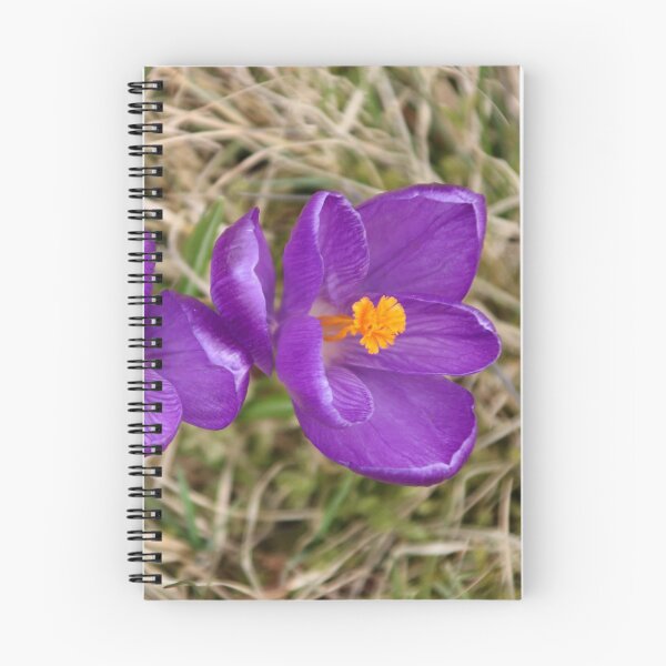 Item preview, Purple Crocus Twins designed and sold by Joan van der Wereld.