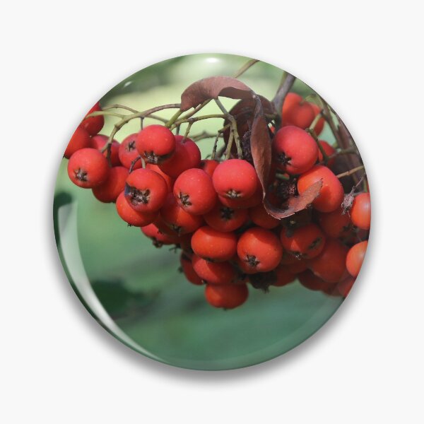 Item preview, Rowan Berries designed and sold by Joan van der Wereld.