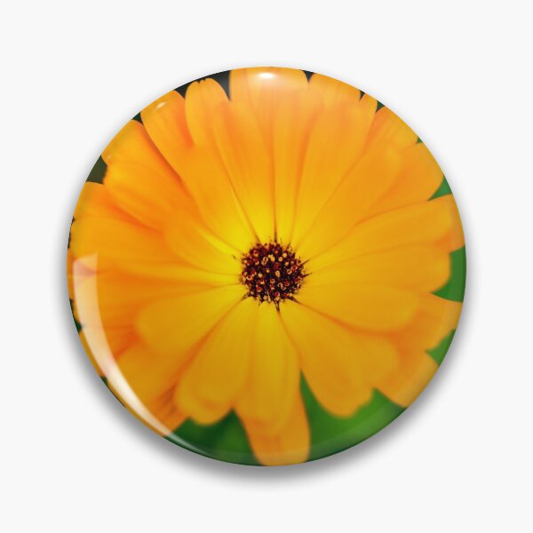 Item preview, Pot marigold in the forest designed and sold by AlbertMi.
