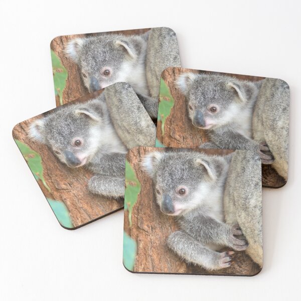 Item preview, Koala Baby: Curiosity designed and sold by Andrew Goodall.