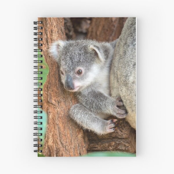 Item preview, Koala Baby: Curiosity designed and sold by Andrew Goodall.